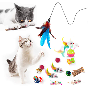 Cat Toys